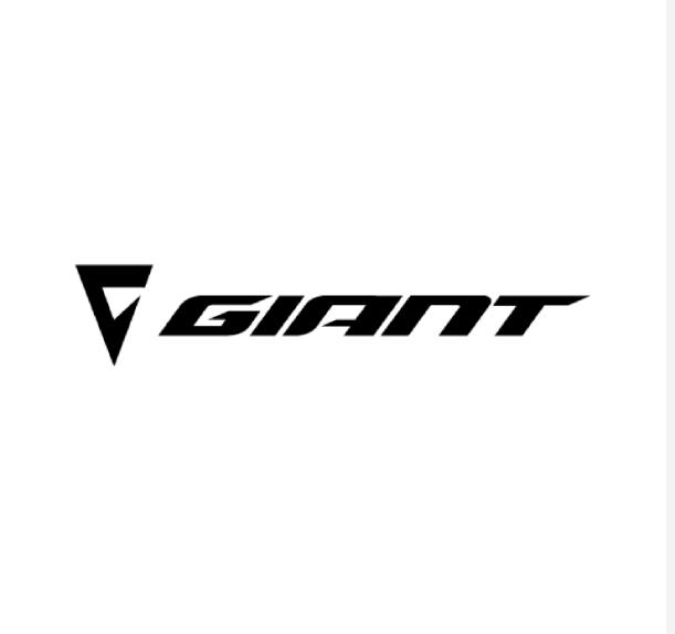 Vélo Giant